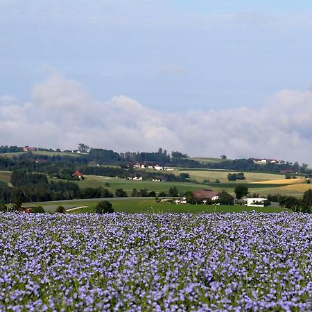 Ferienhof Neundlinger Niederwaldkirchen Buitenkant foto