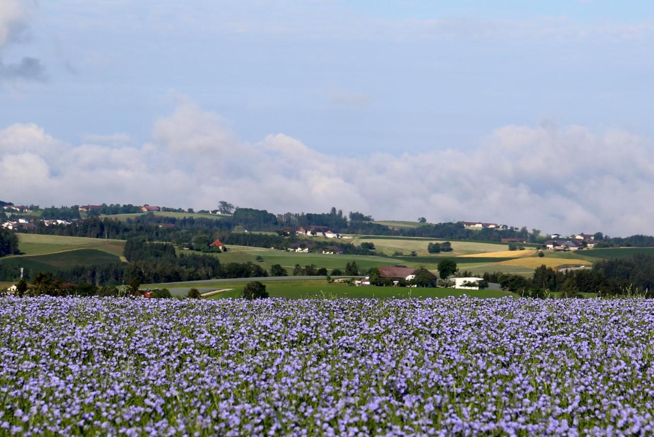 Ferienhof Neundlinger Niederwaldkirchen Buitenkant foto